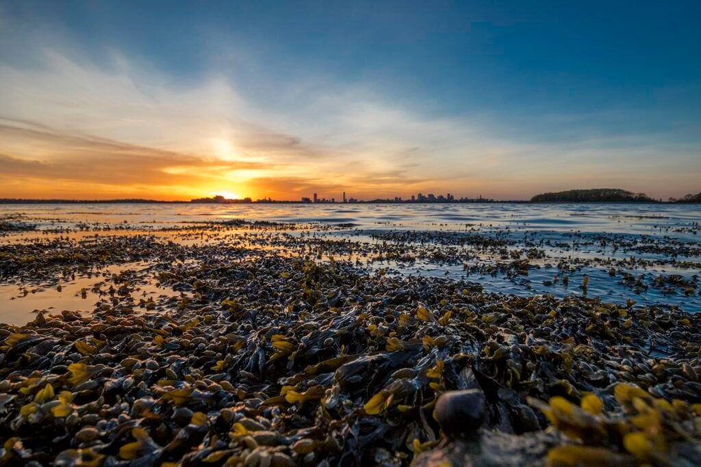 Lensa TAMRON Ultra Wide 10-24mm for Canon EOS DSLR - Gambar 9